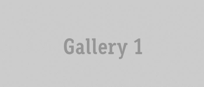 gallery_1