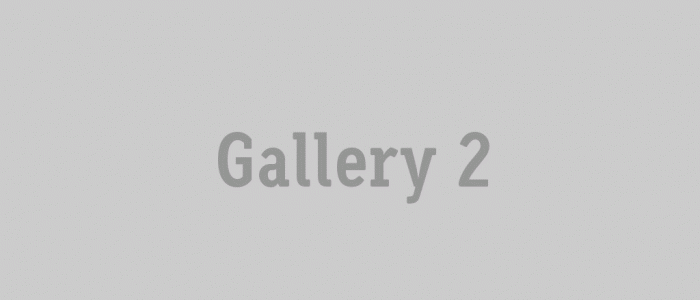 gallery_2